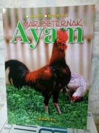 Mari Beternak Ayam